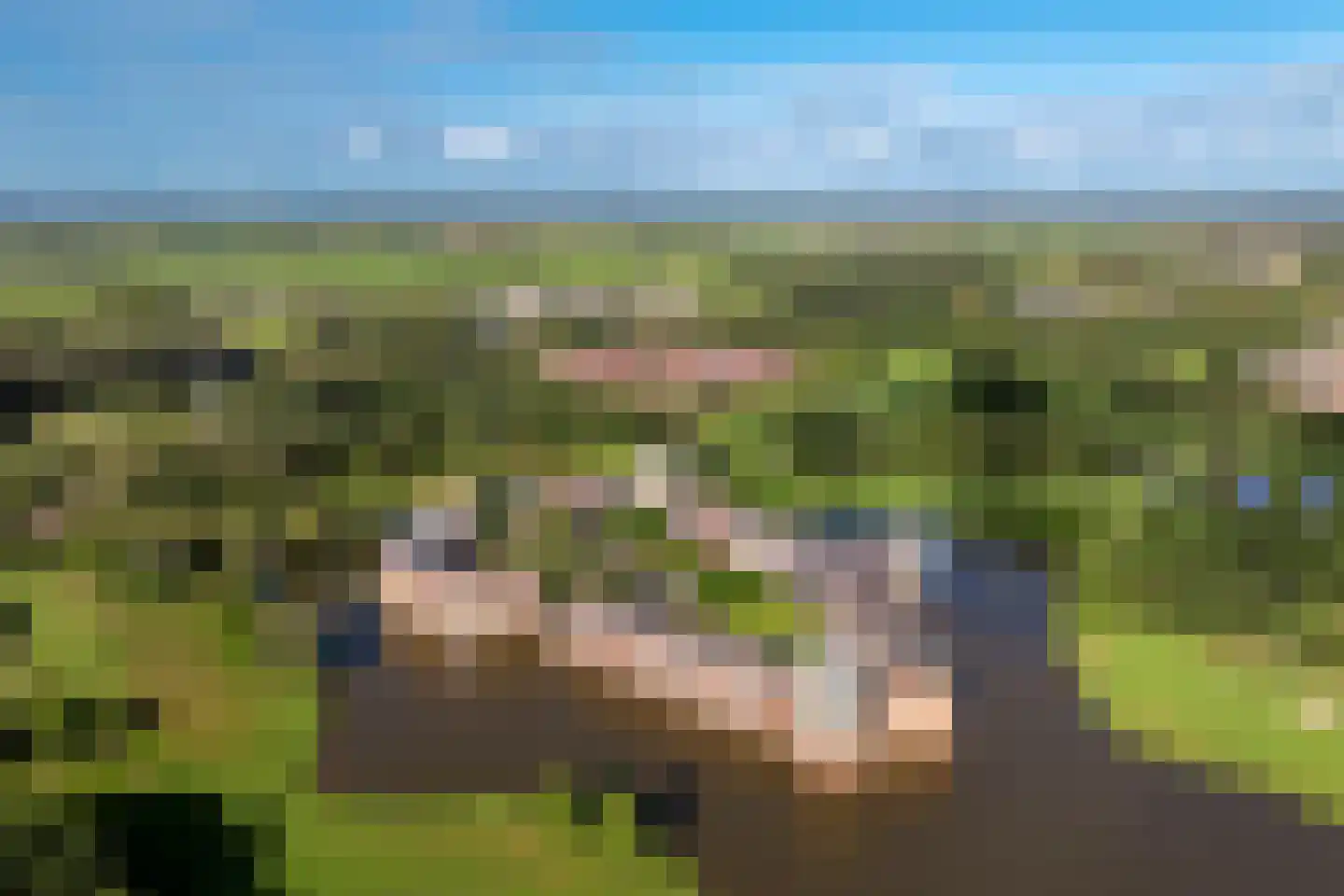 Zwaenenstede 39 's-Hertogenbosch thumbnail 66