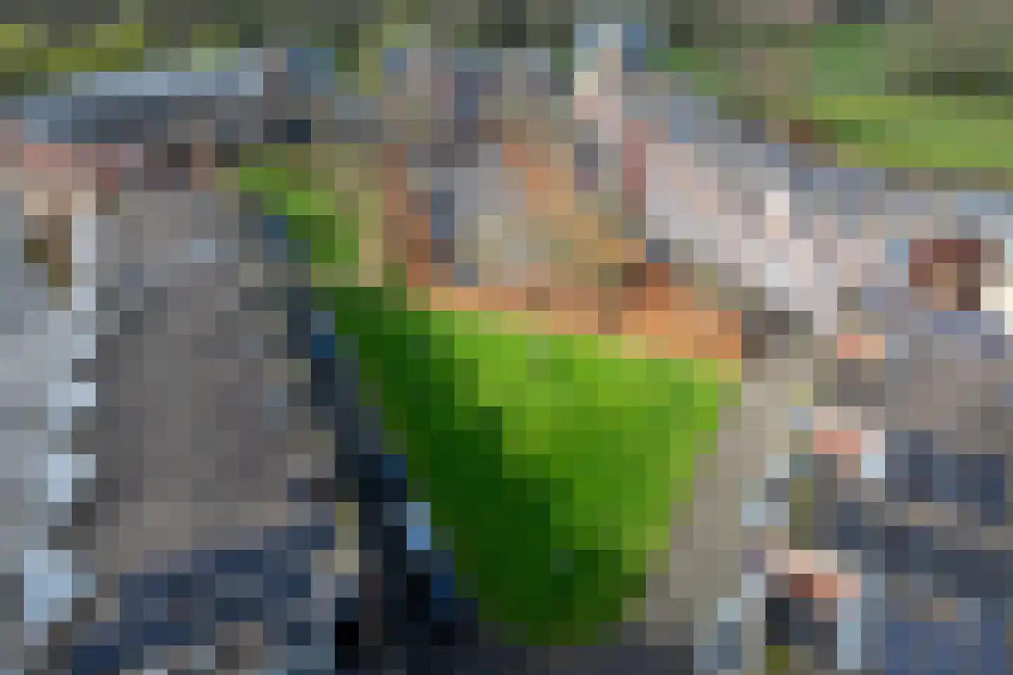 Zwaenenstede 39 's-Hertogenbosch thumbnail 69