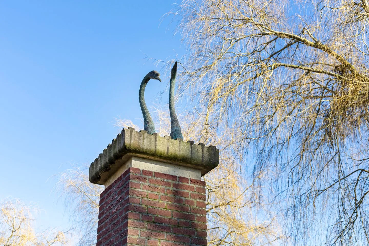 Zwaenenstede 40 's-Hertogenbosch thumbnail 6