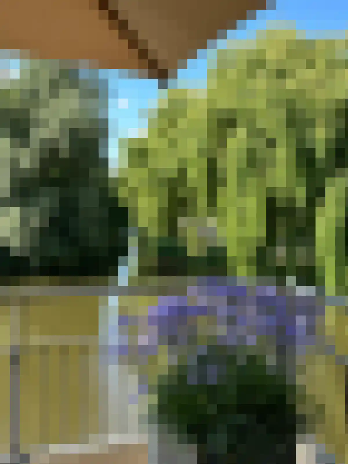 Zwaenenstede 6 's-Hertogenbosch thumbnail 10