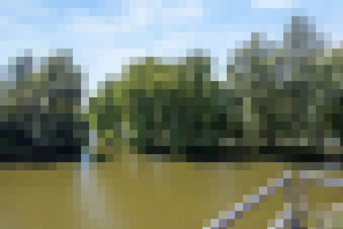 Zwaenenstede 6 's-Hertogenbosch thumbnail 13