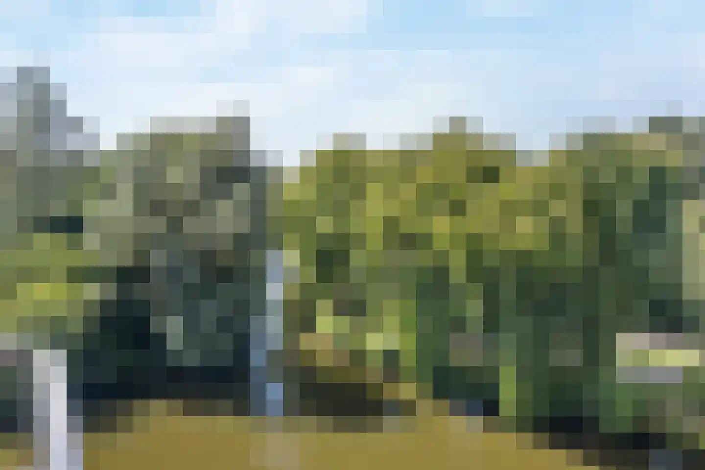 Zwaenenstede 6 's-Hertogenbosch thumbnail 49