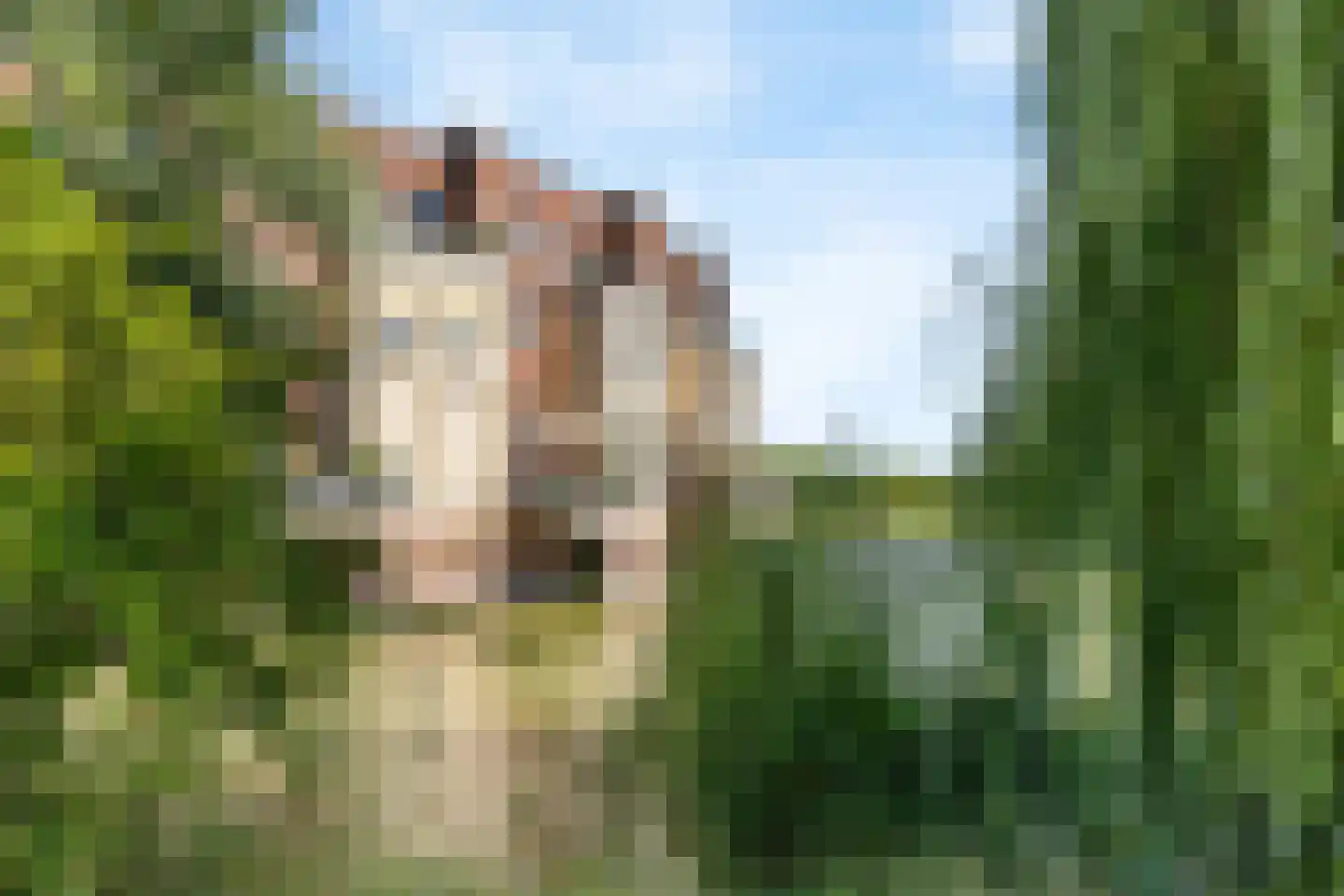 Zwaenenstede 6 's-Hertogenbosch thumbnail 57