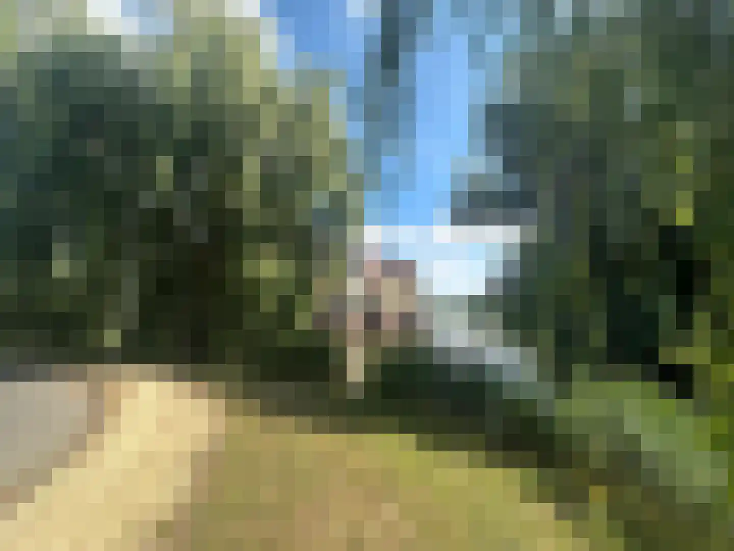 Zwaenenstede 6 's-Hertogenbosch thumbnail 61