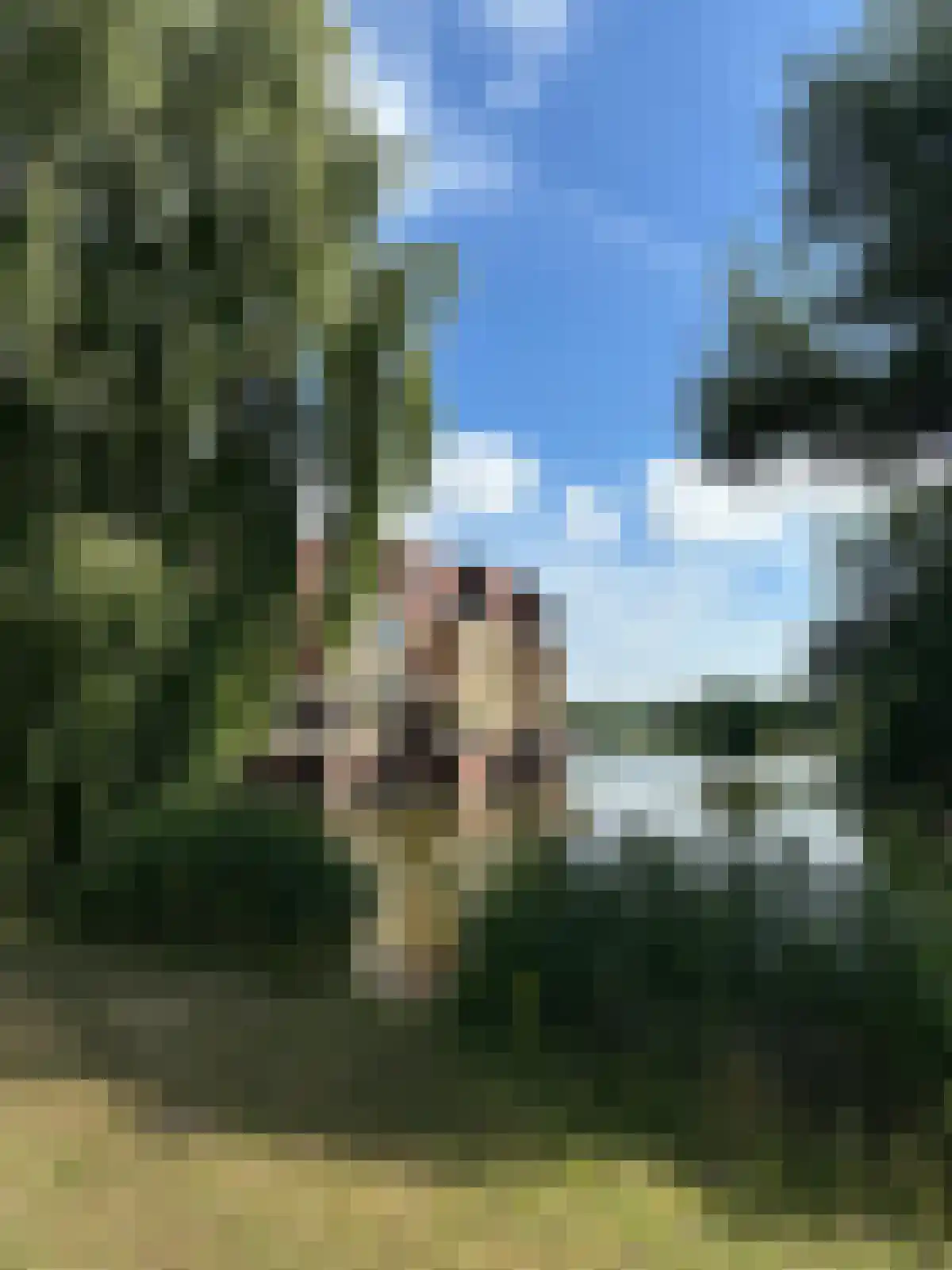 Zwaenenstede 6 's-Hertogenbosch thumbnail 62