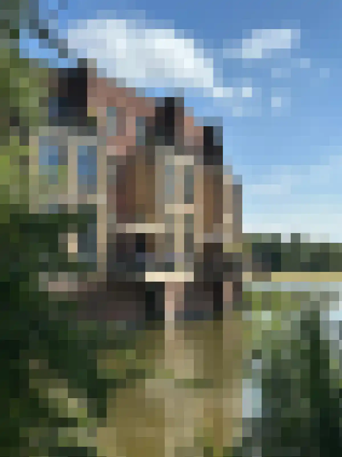 Zwaenenstede 6 's-Hertogenbosch thumbnail 63