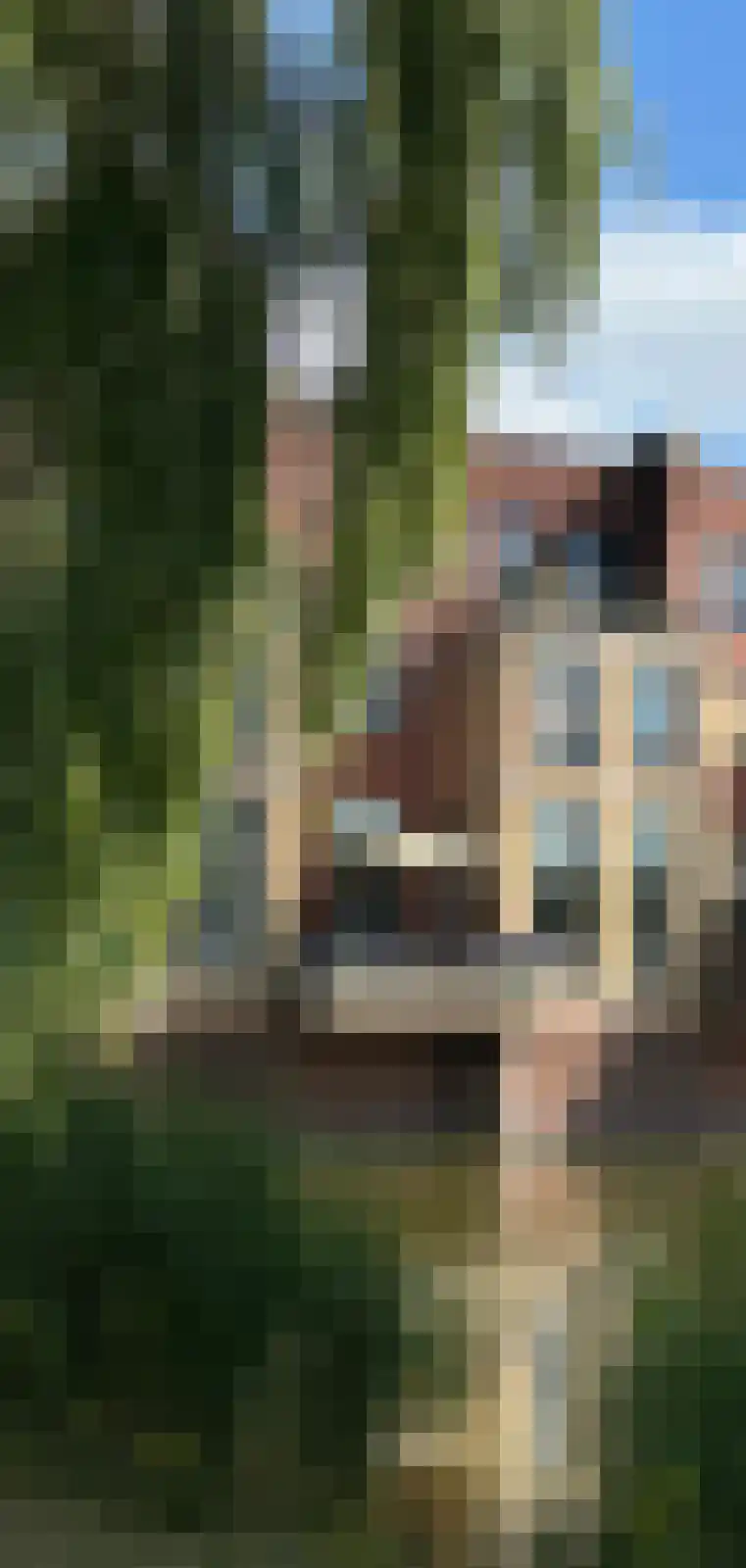 Zwaenenstede 6 's-Hertogenbosch thumbnail 64