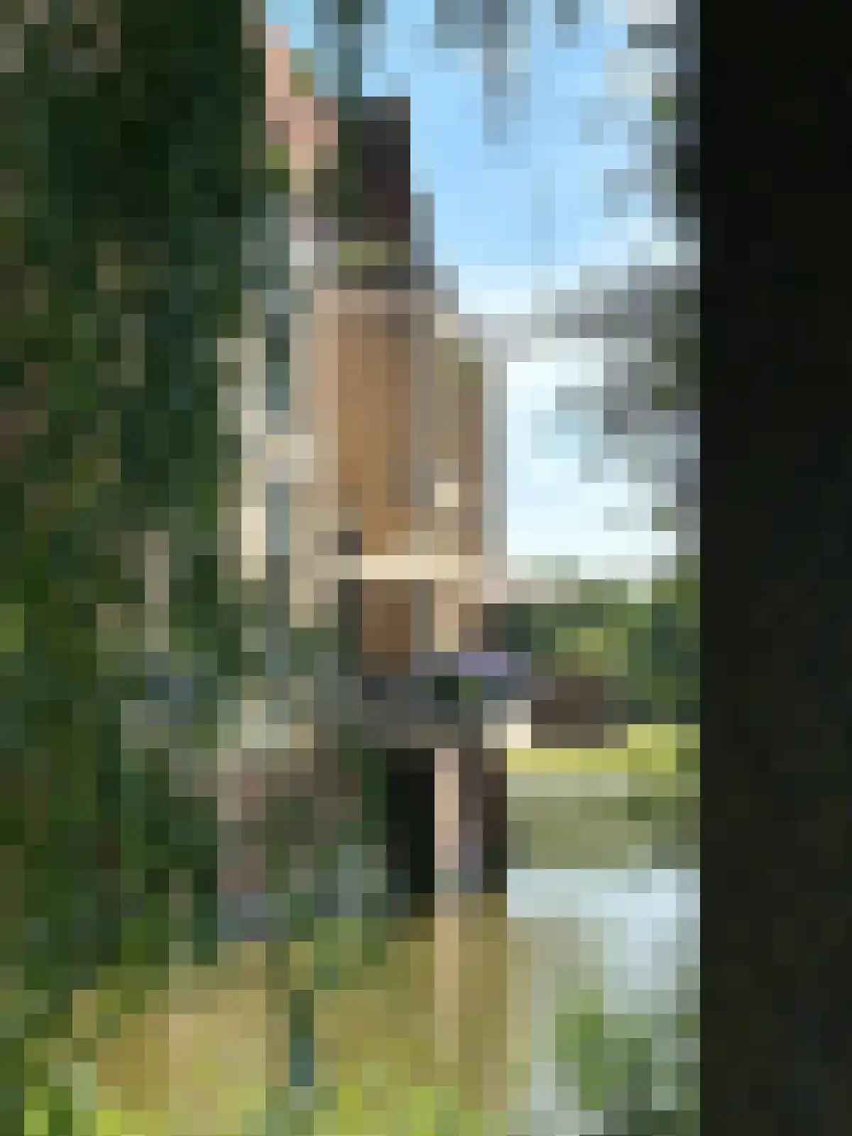 Zwaenenstede 6 's-Hertogenbosch thumbnail 66