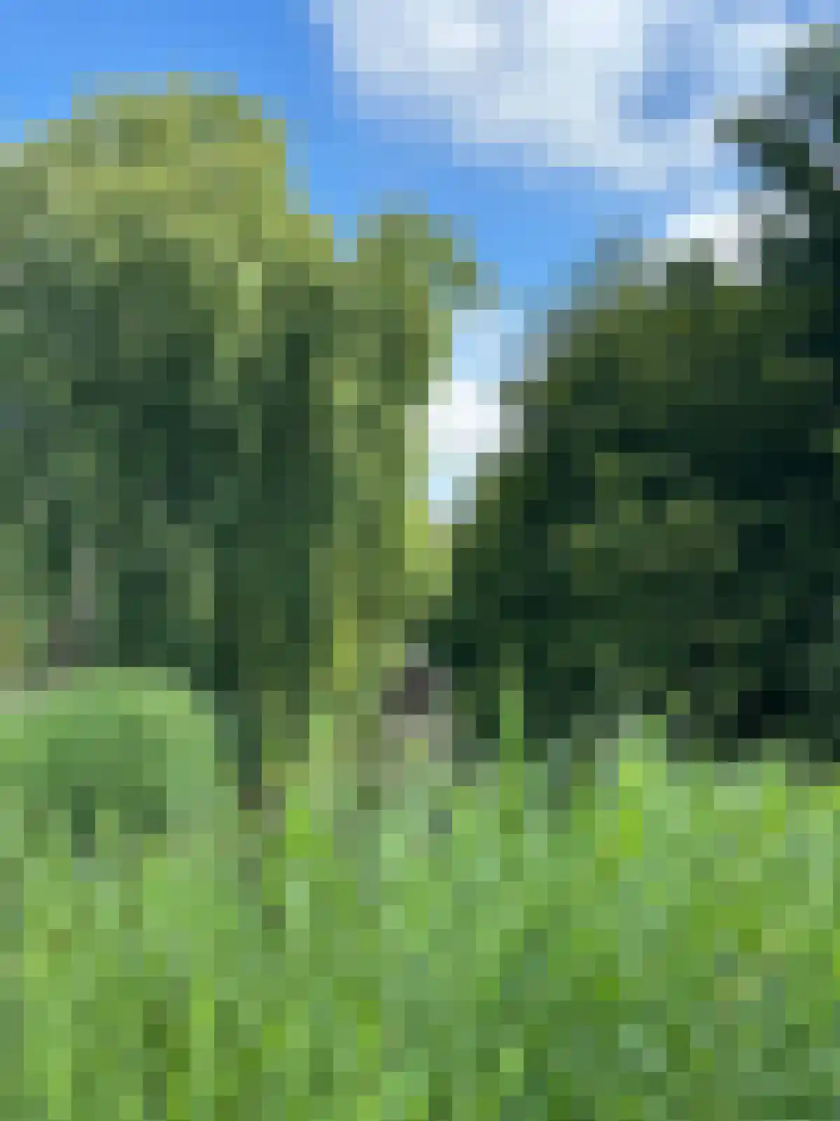 Zwaenenstede 6 's-Hertogenbosch thumbnail 67