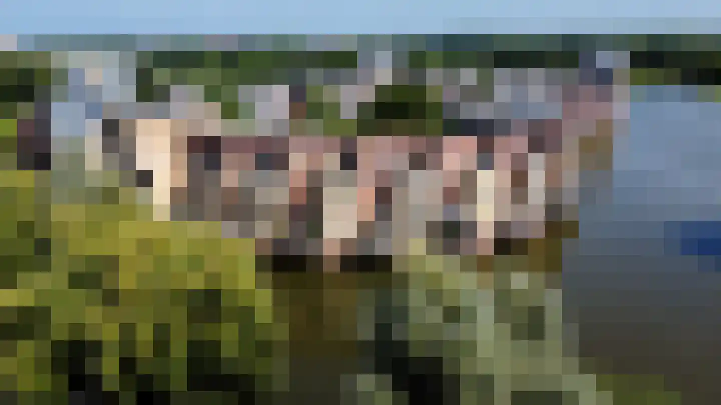 Zwaenenstede 6 's-Hertogenbosch thumbnail 72
