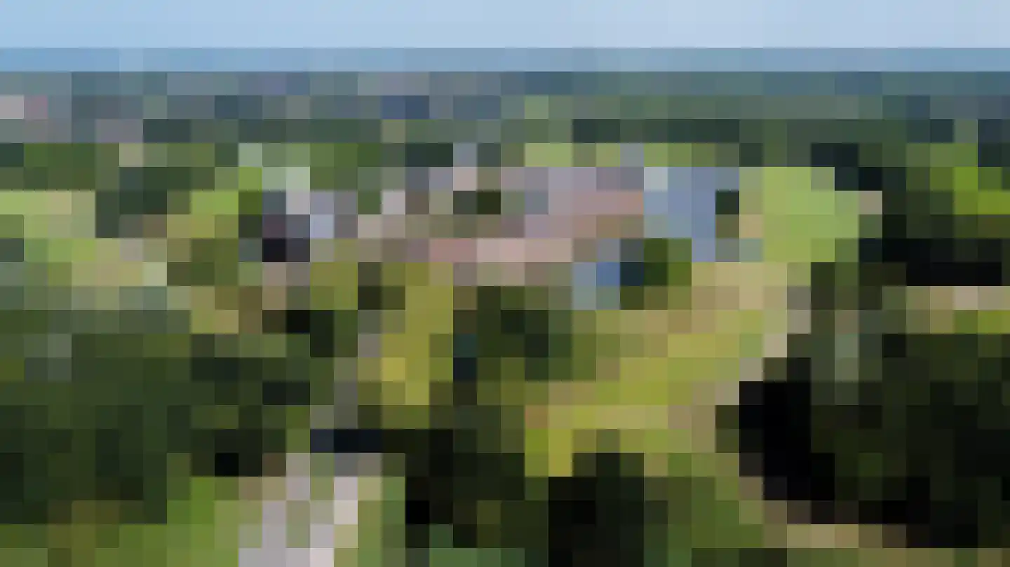 Zwaenenstede 6 's-Hertogenbosch thumbnail 73
