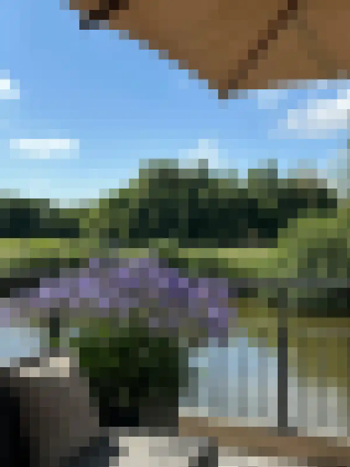 Zwaenenstede 6 's-Hertogenbosch thumbnail 9