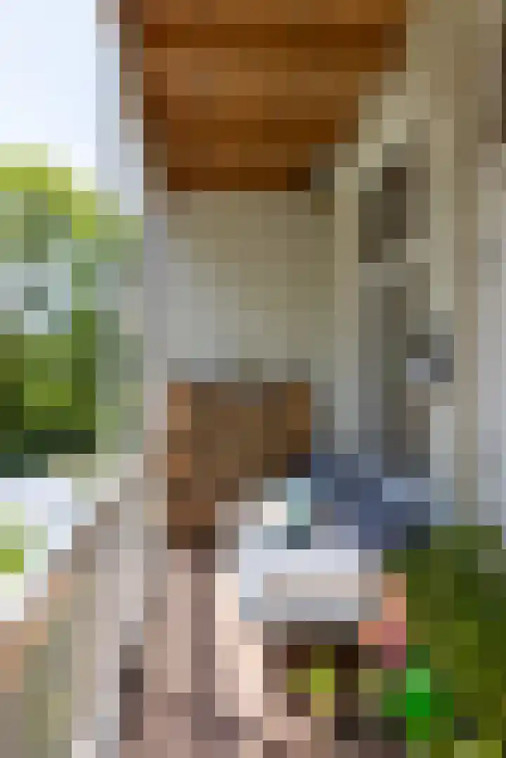 Zwaerdecroonstraat 14 A Rotterdam thumbnail 16