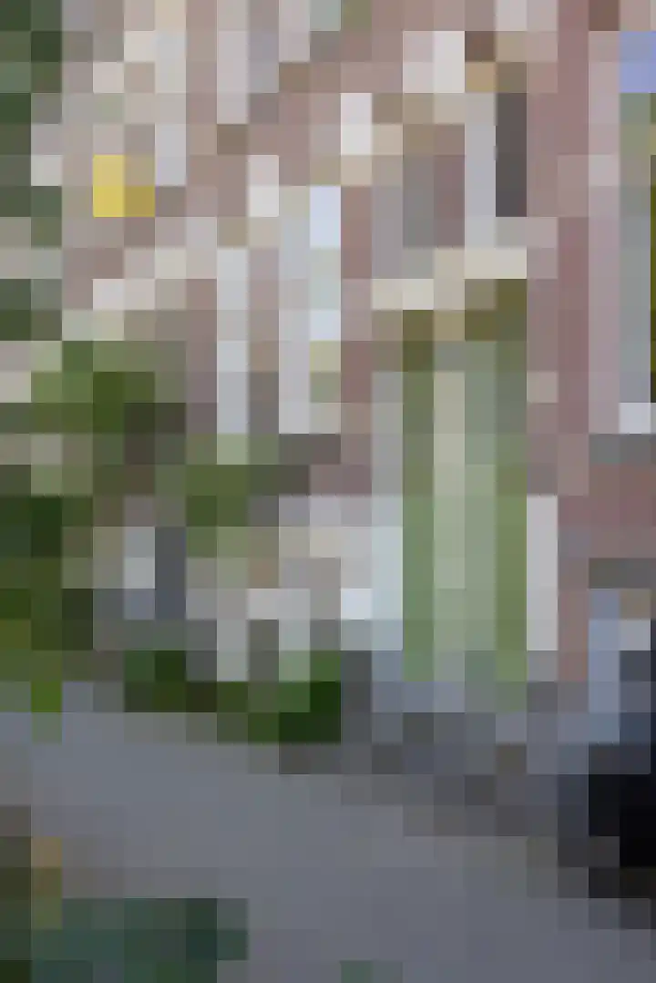 Zwaerdecroonstraat 14 A Rotterdam thumbnail 34