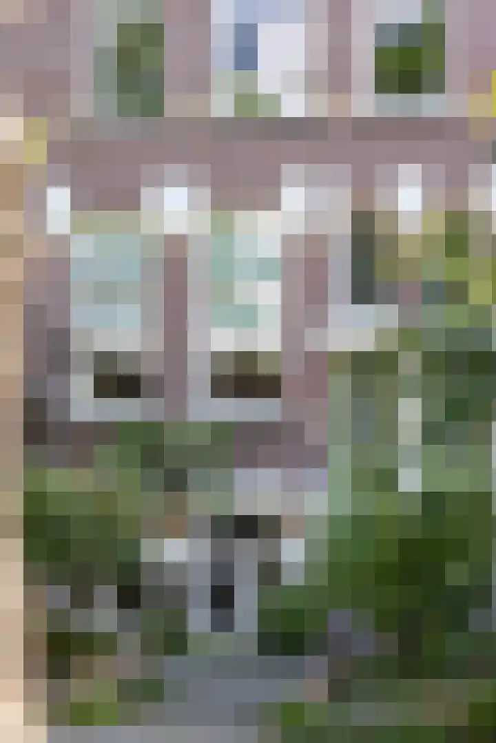 Zwaerdecroonstraat 14 A Rotterdam thumbnail 35