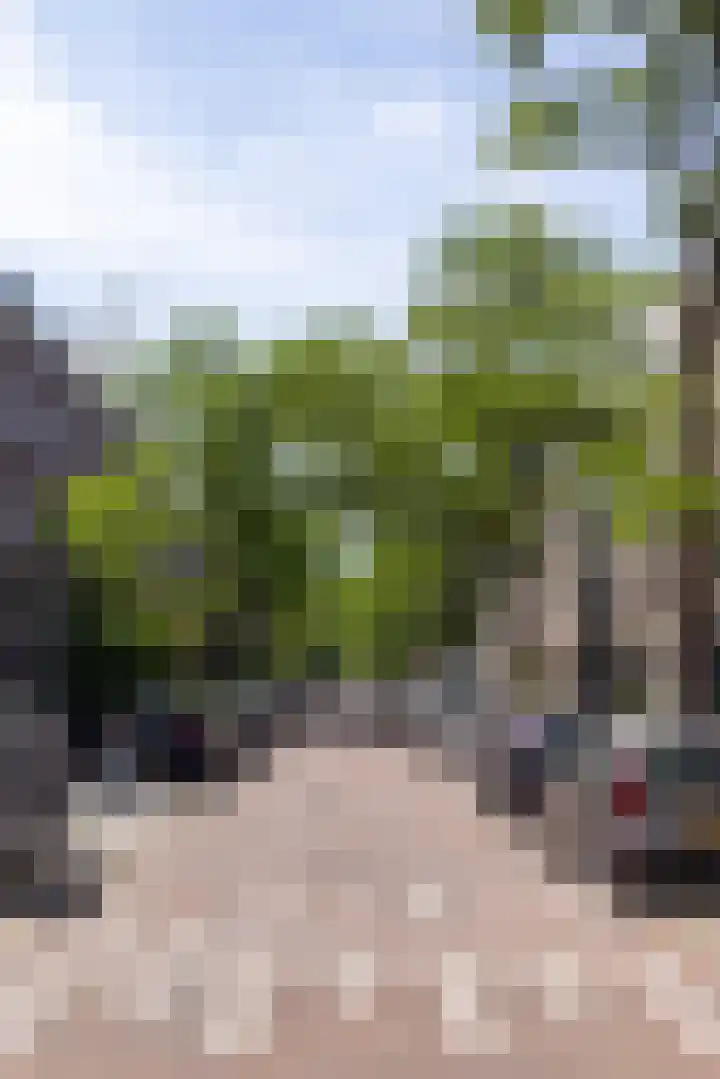 Zwaerdecroonstraat 14 A Rotterdam thumbnail 36