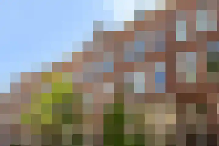 Zwaerdecroonstraat 22 A Rotterdam thumbnail 76