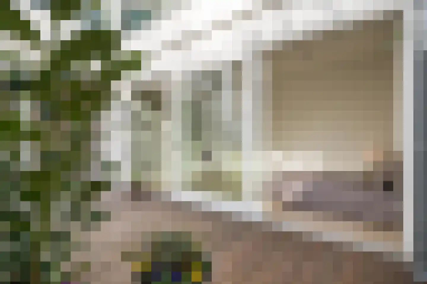 Zwaerdecroonstraat 6 A Rotterdam thumbnail 25