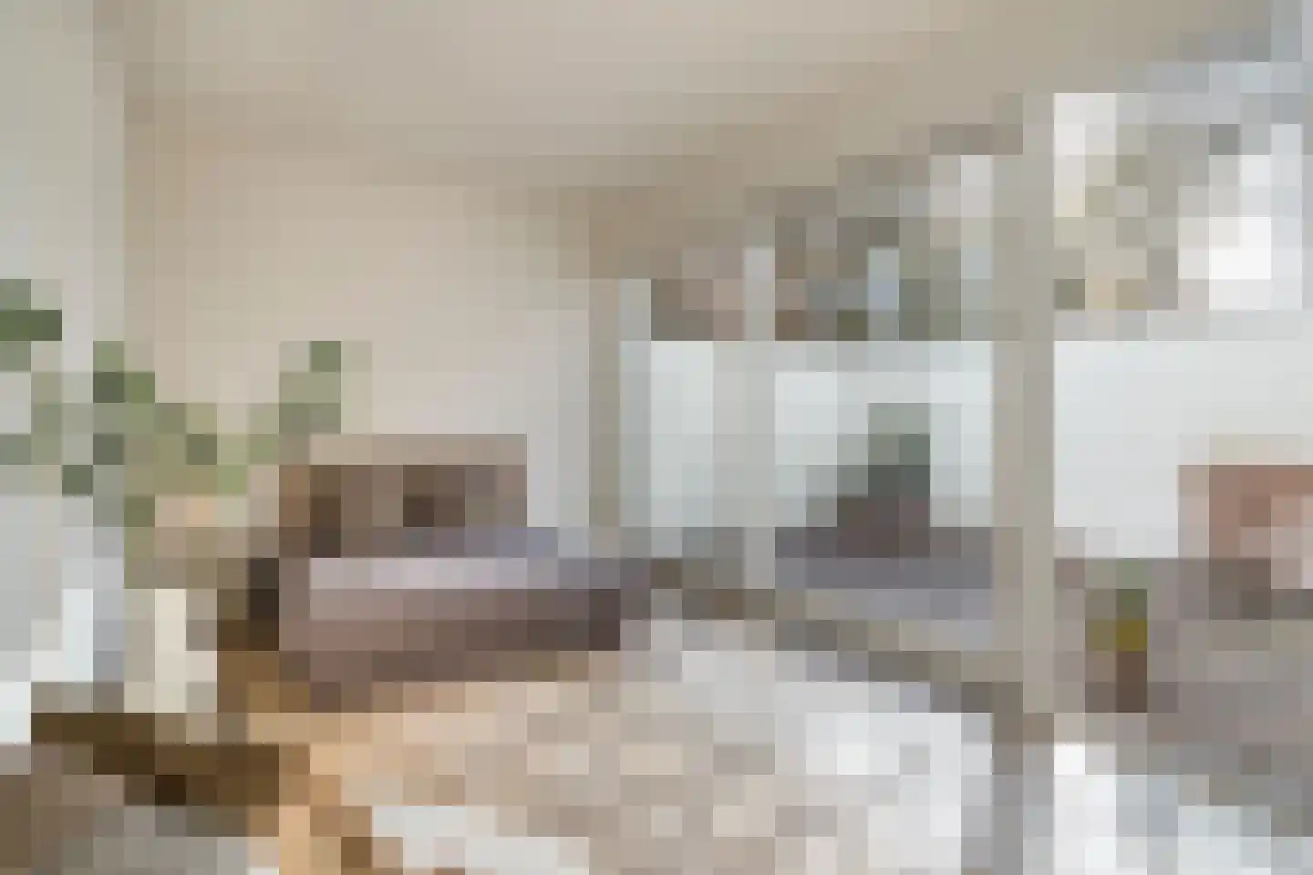 Zwaerdecroonstraat 6 A Rotterdam thumbnail 5