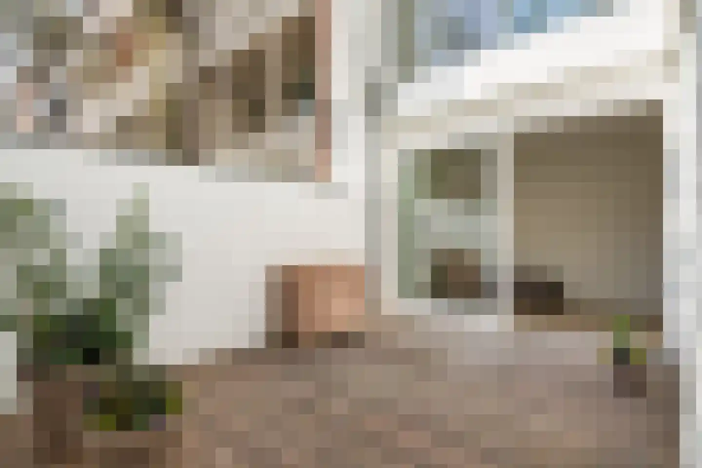 Zwaerdecroonstraat 6 A Rotterdam thumbnail 6