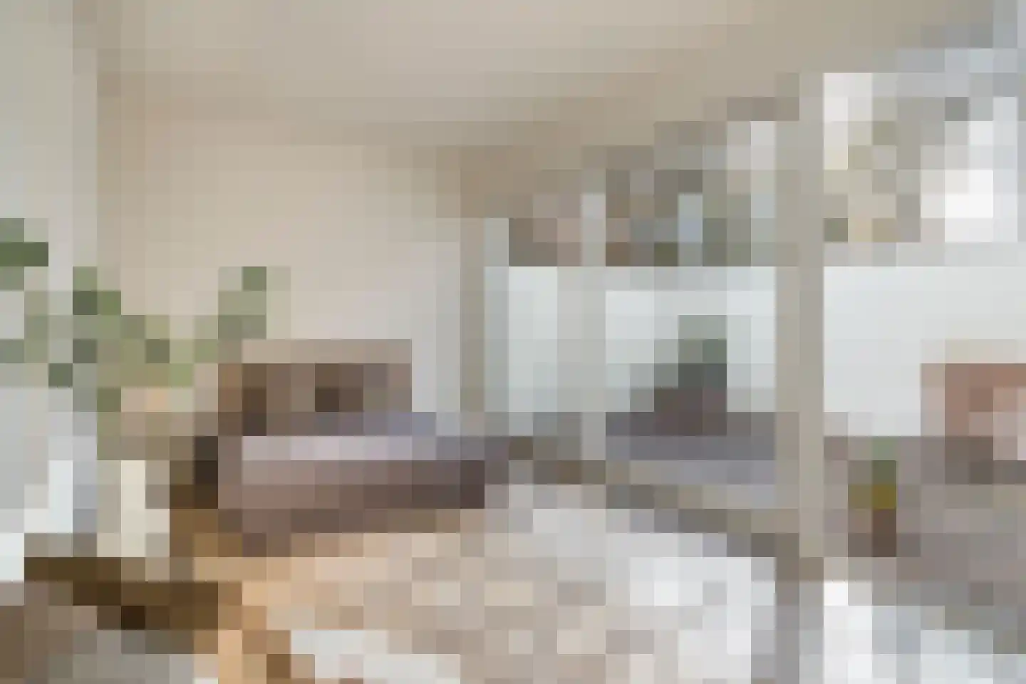 Zwaerdecroonstraat 6 B Rotterdam thumbnail 5