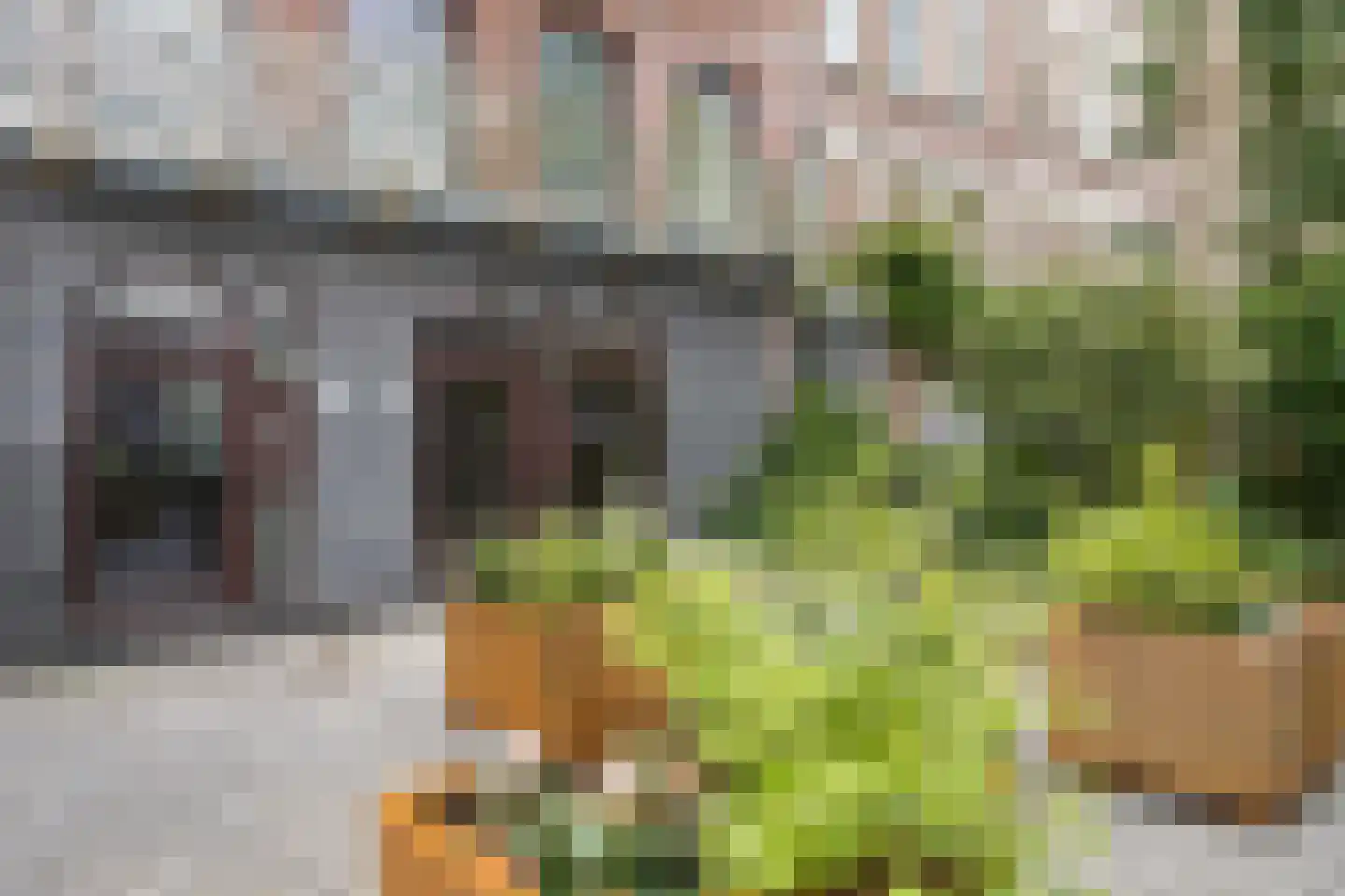 Zwaerdecroonstraat 6 C Rotterdam thumbnail 8