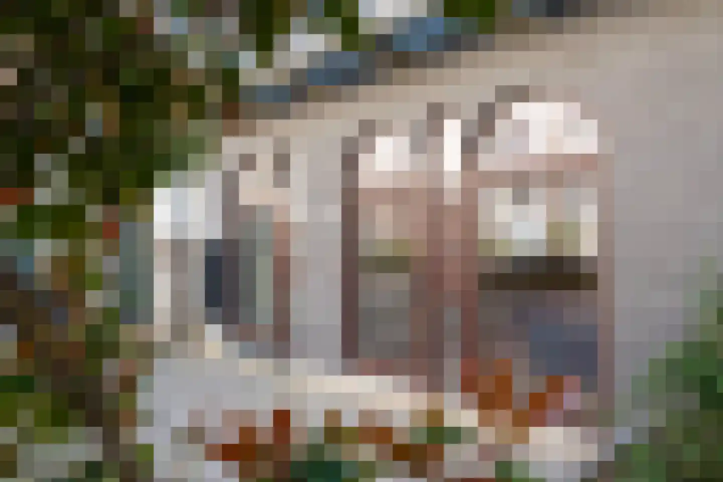 Zwaerdecroonstraat 6 D Rotterdam thumbnail 8