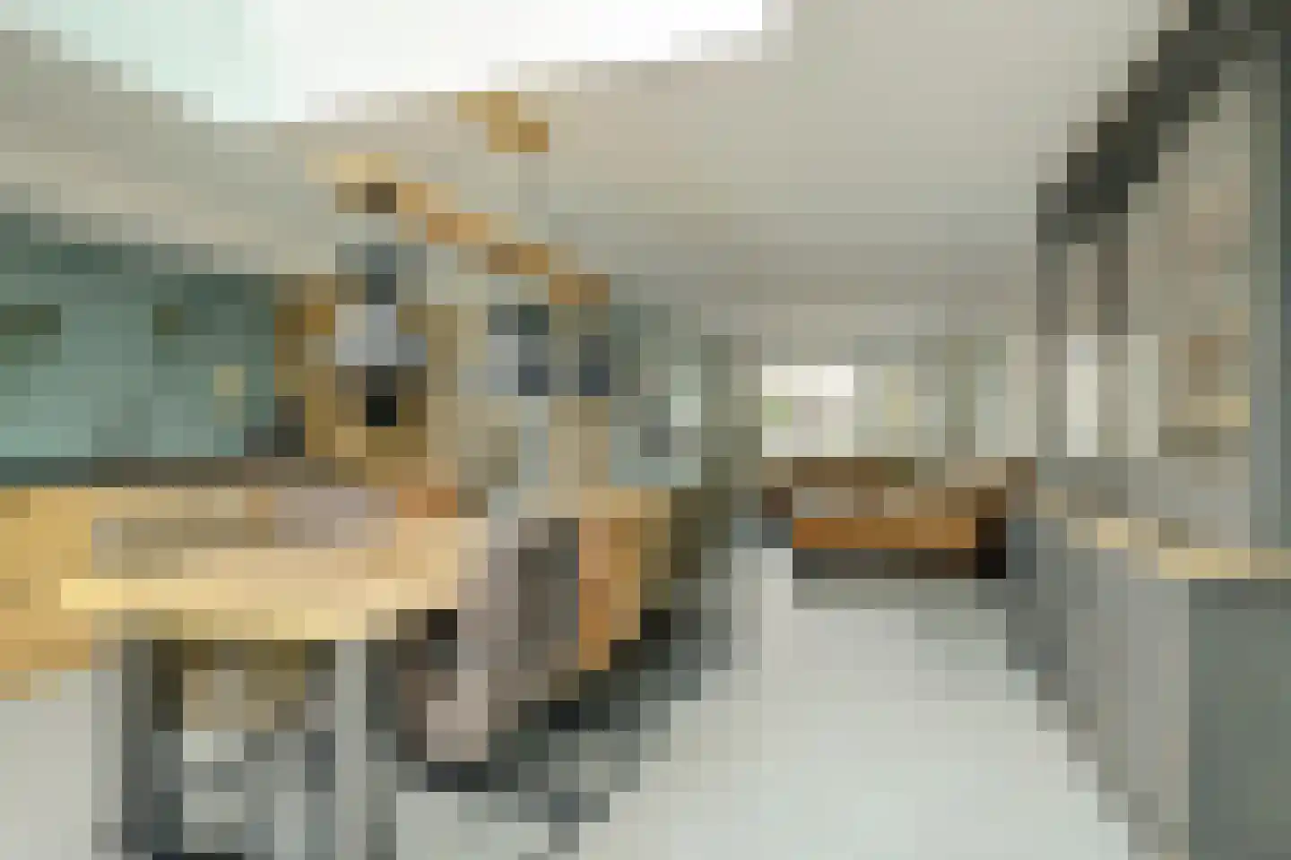 Zwagermanstraat 16 Nieuwe Niedorp thumbnail 14