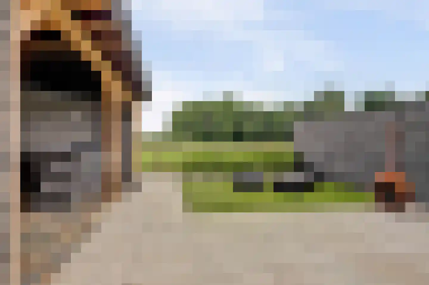 Zwagermanstraat 16 Nieuwe Niedorp thumbnail 45