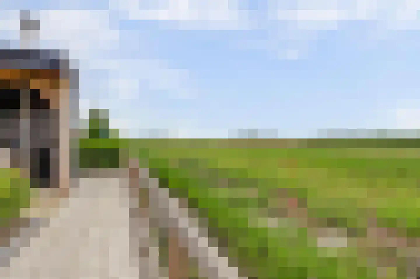Zwagermanstraat 16 Nieuwe Niedorp thumbnail 52
