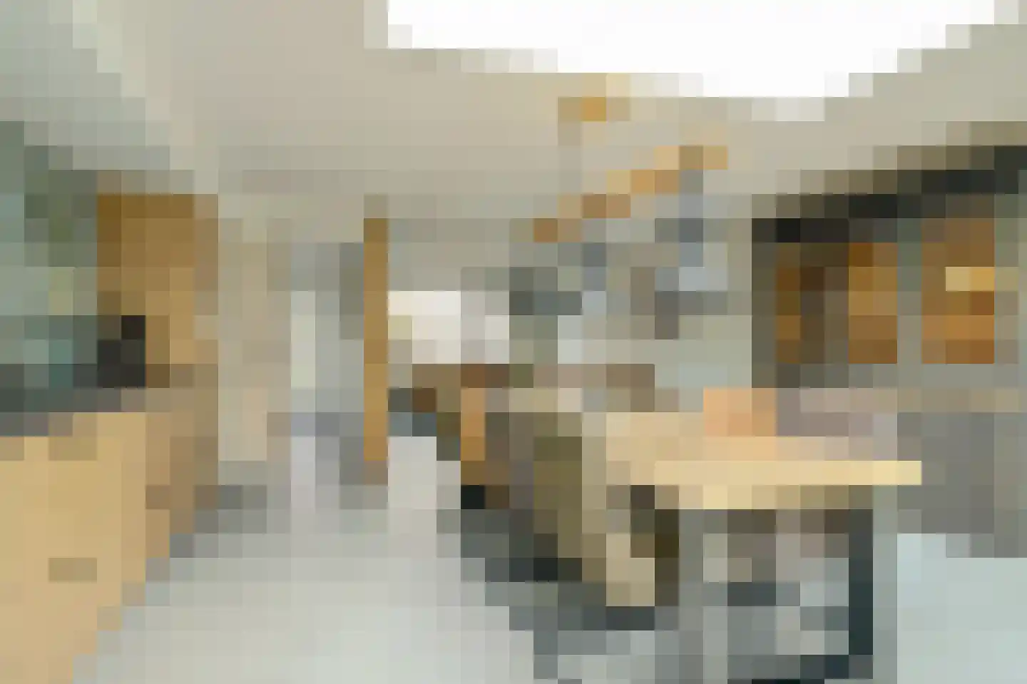 Zwagermanstraat 16 Nieuwe Niedorp thumbnail 8