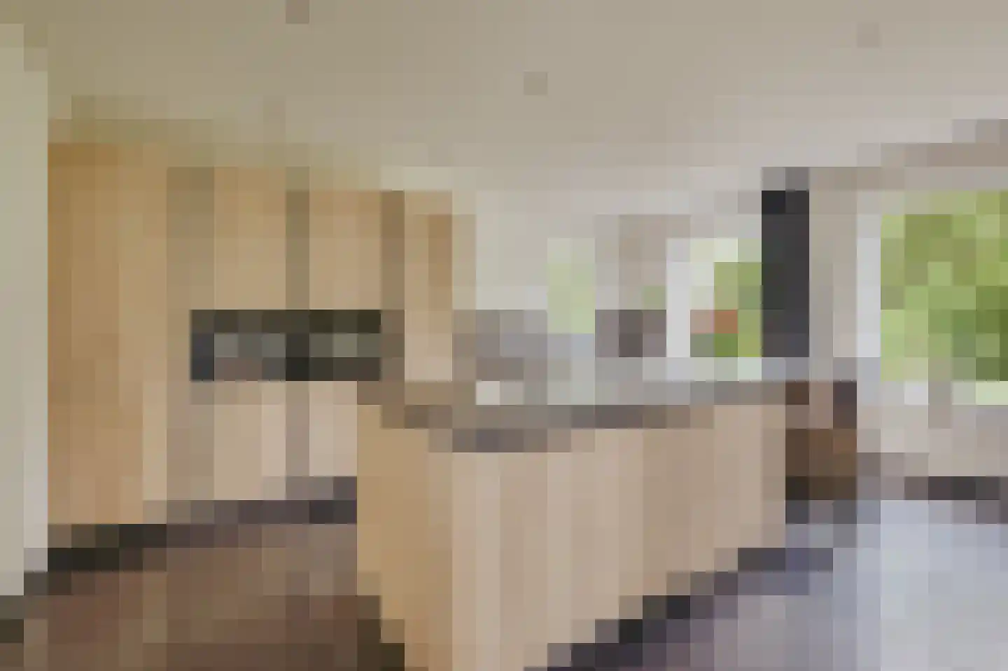 Zwagermanweg 2 Grijpskerke thumbnail 13