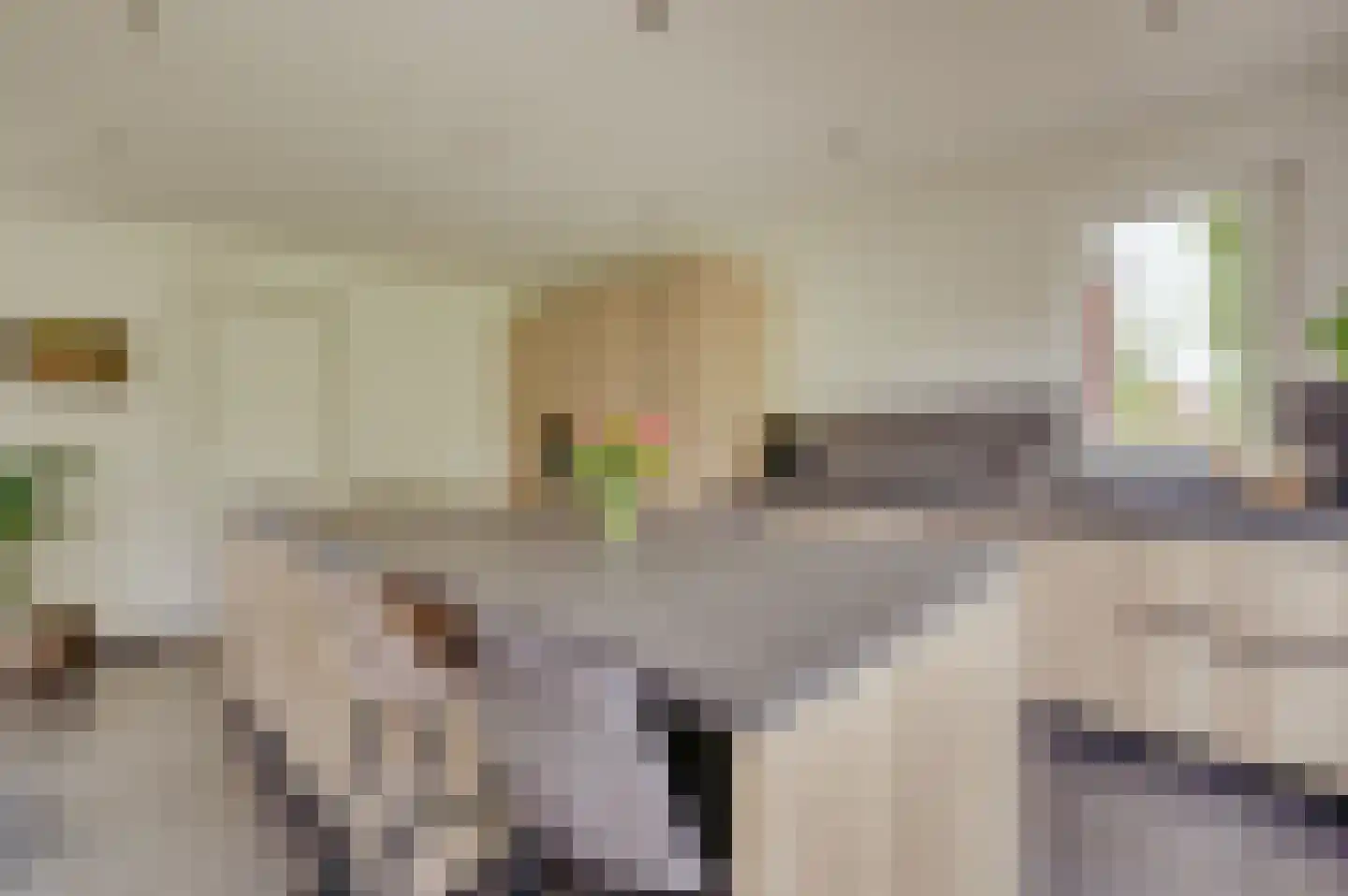 Zwagermanweg 2 Grijpskerke thumbnail 14