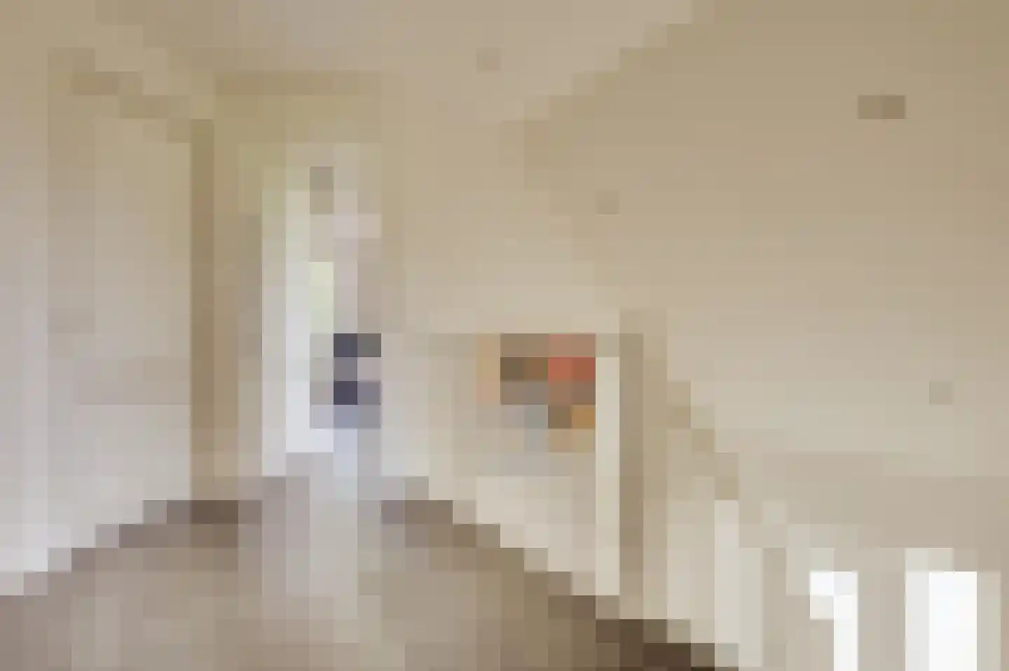 Zwagermanweg 2 Grijpskerke thumbnail 16