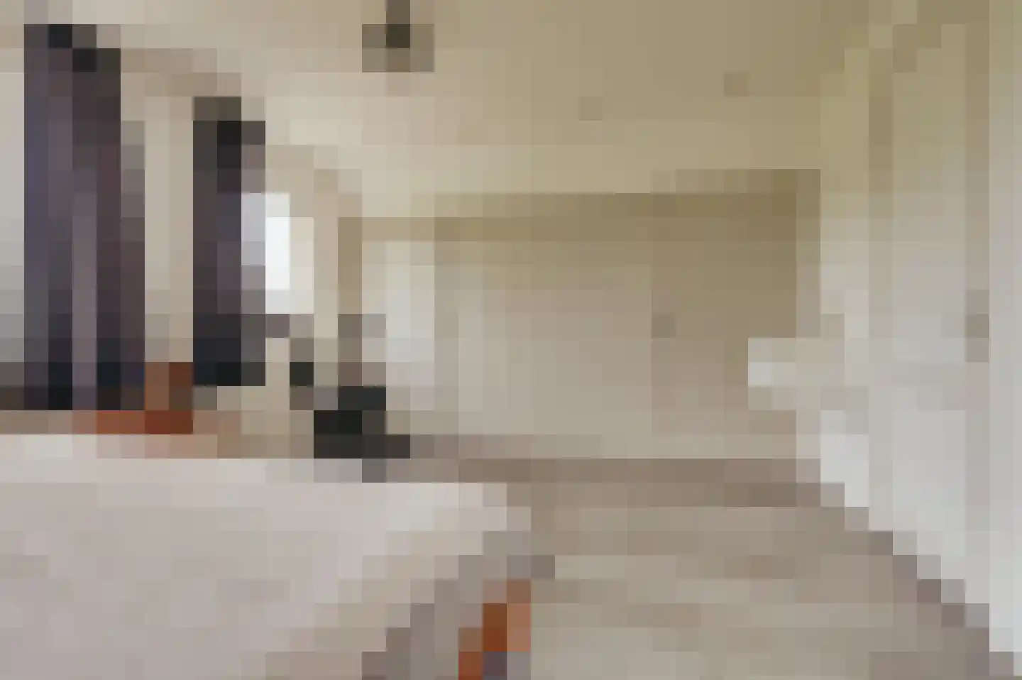 Zwagermanweg 2 Grijpskerke thumbnail 18