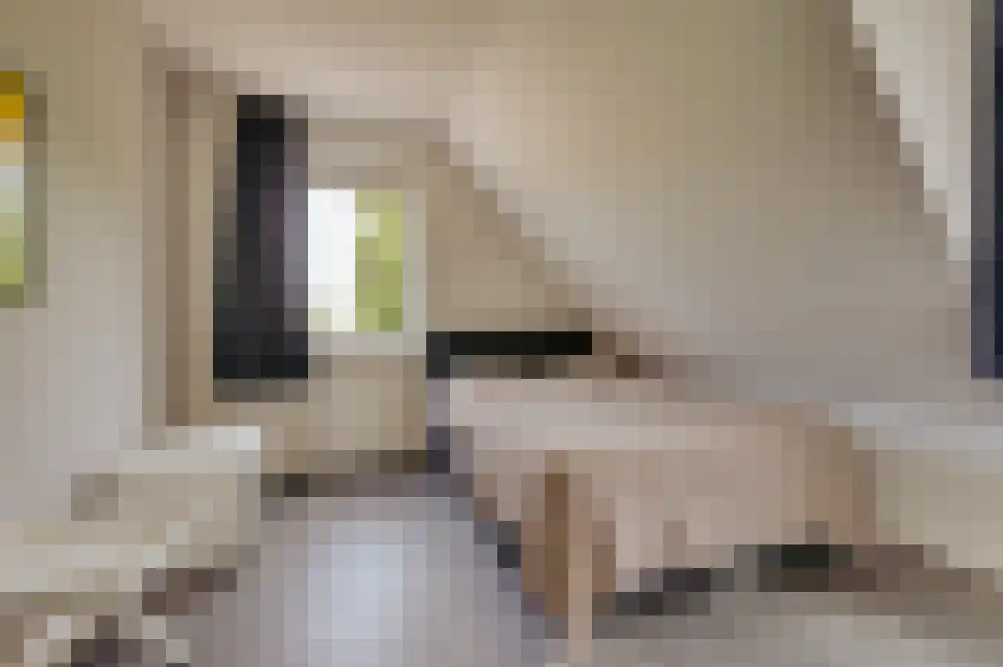 Zwagermanweg 2 Grijpskerke thumbnail 22