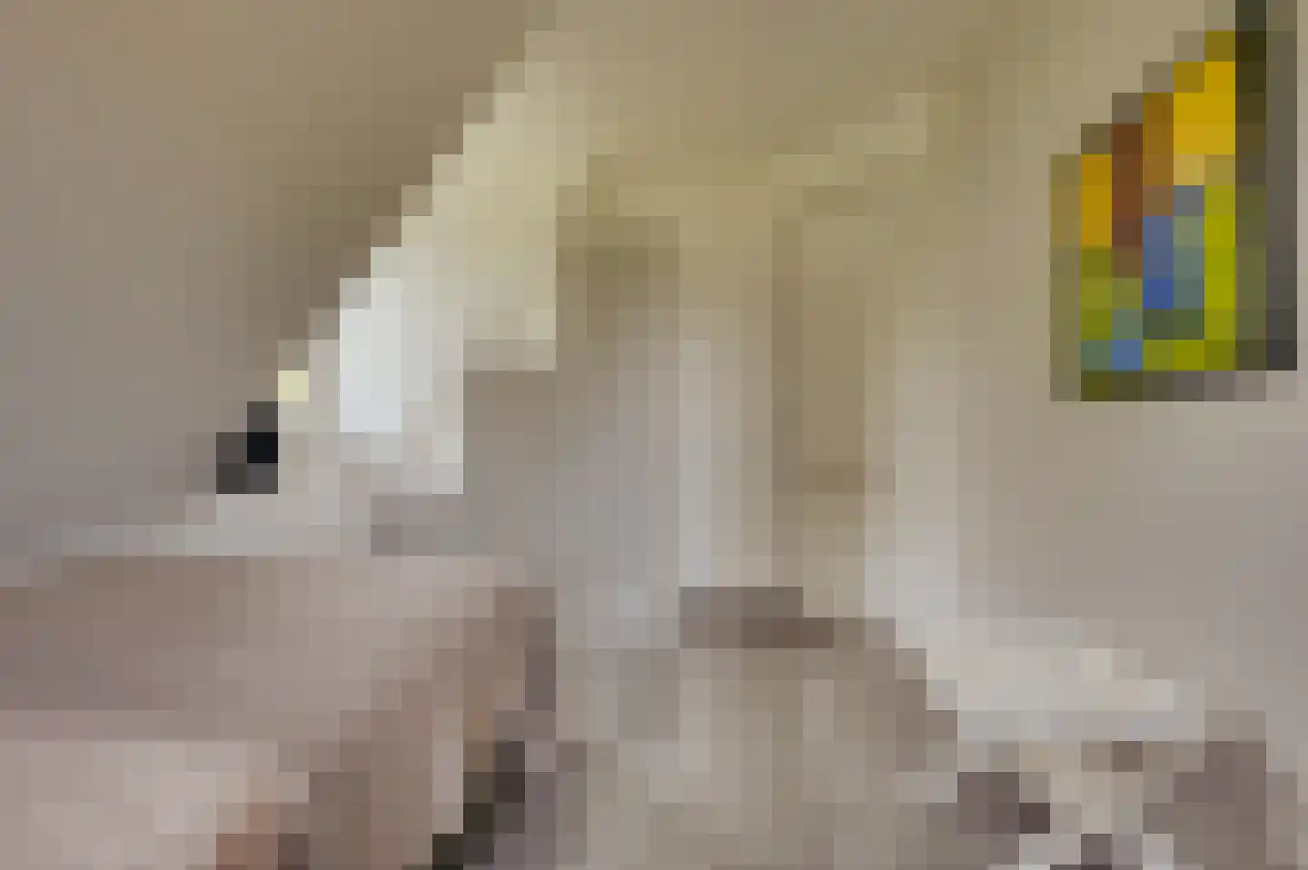 Zwagermanweg 2 Grijpskerke thumbnail 23
