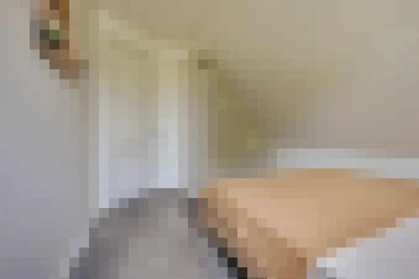 Zwagermanweg 2 Grijpskerke thumbnail 25