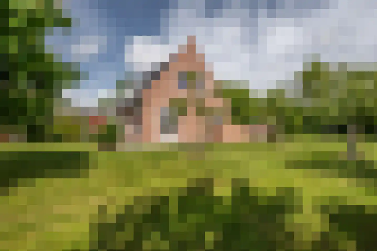 Zwagermanweg 2 Grijpskerke thumbnail 26