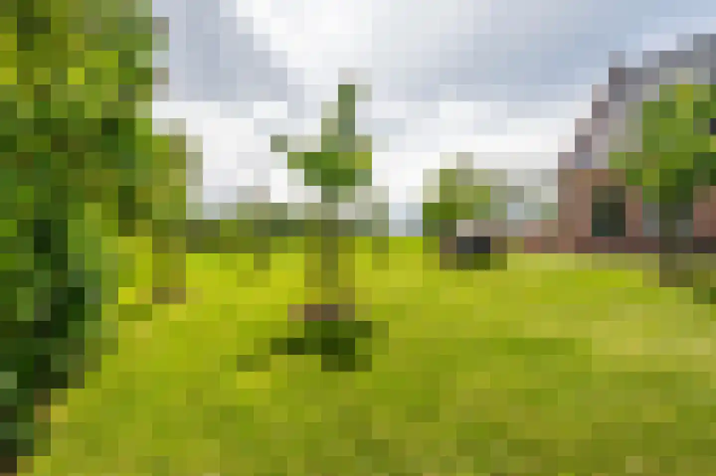 Zwagermanweg 2 Grijpskerke thumbnail 27