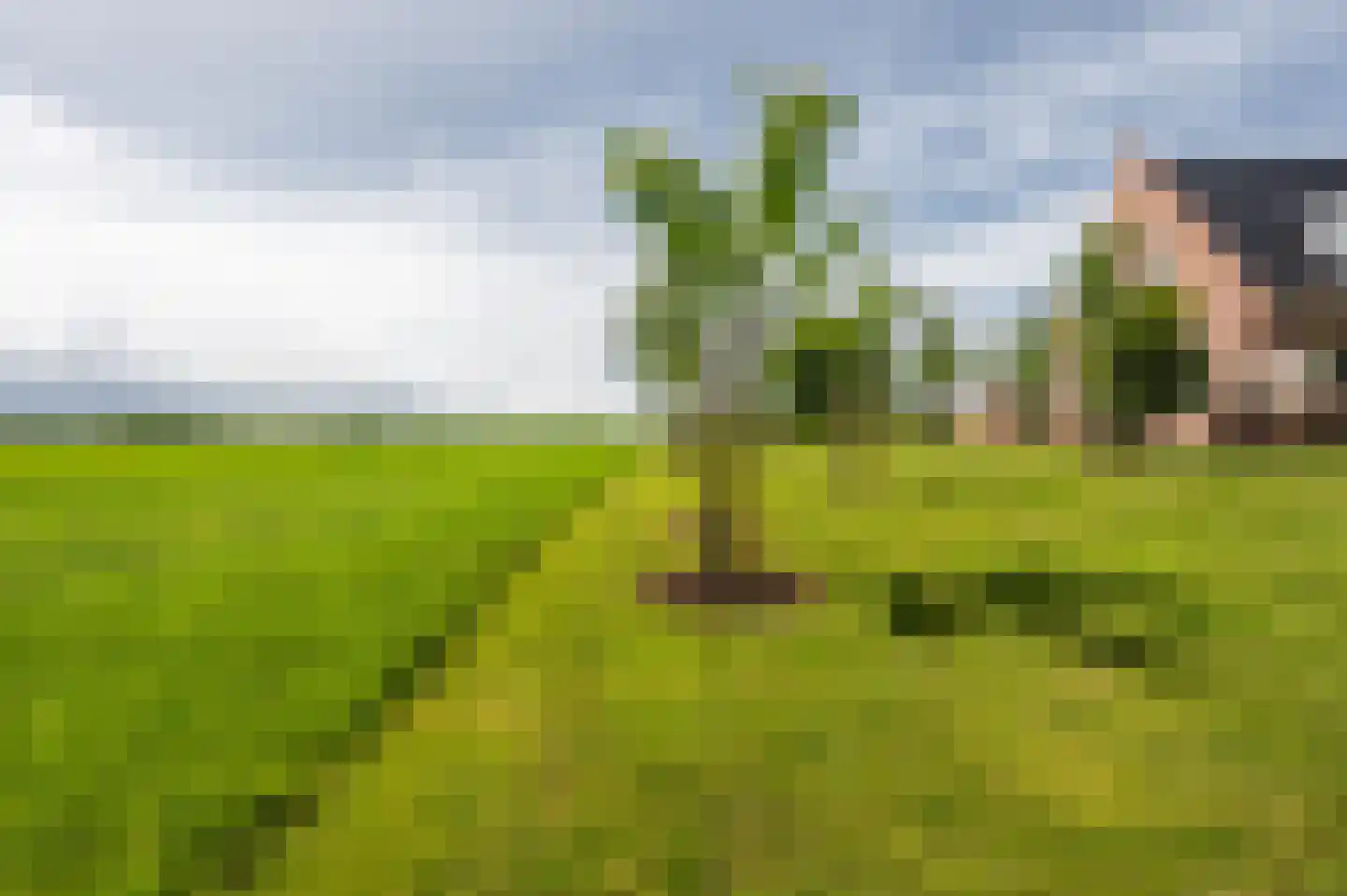 Zwagermanweg 2 Grijpskerke thumbnail 28