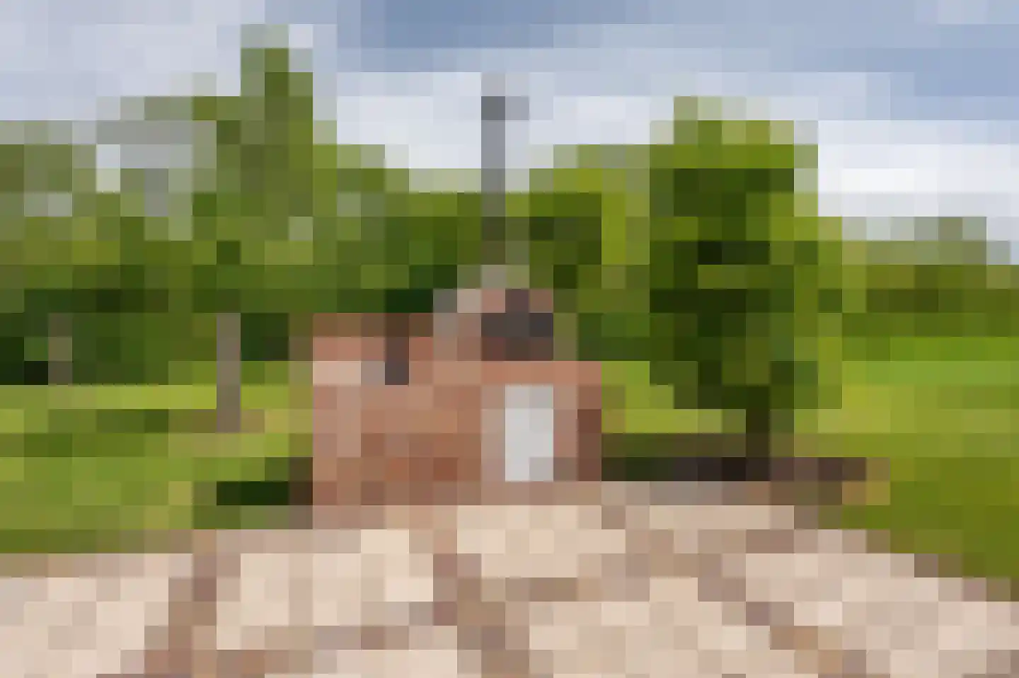Zwagermanweg 2 Grijpskerke thumbnail 29