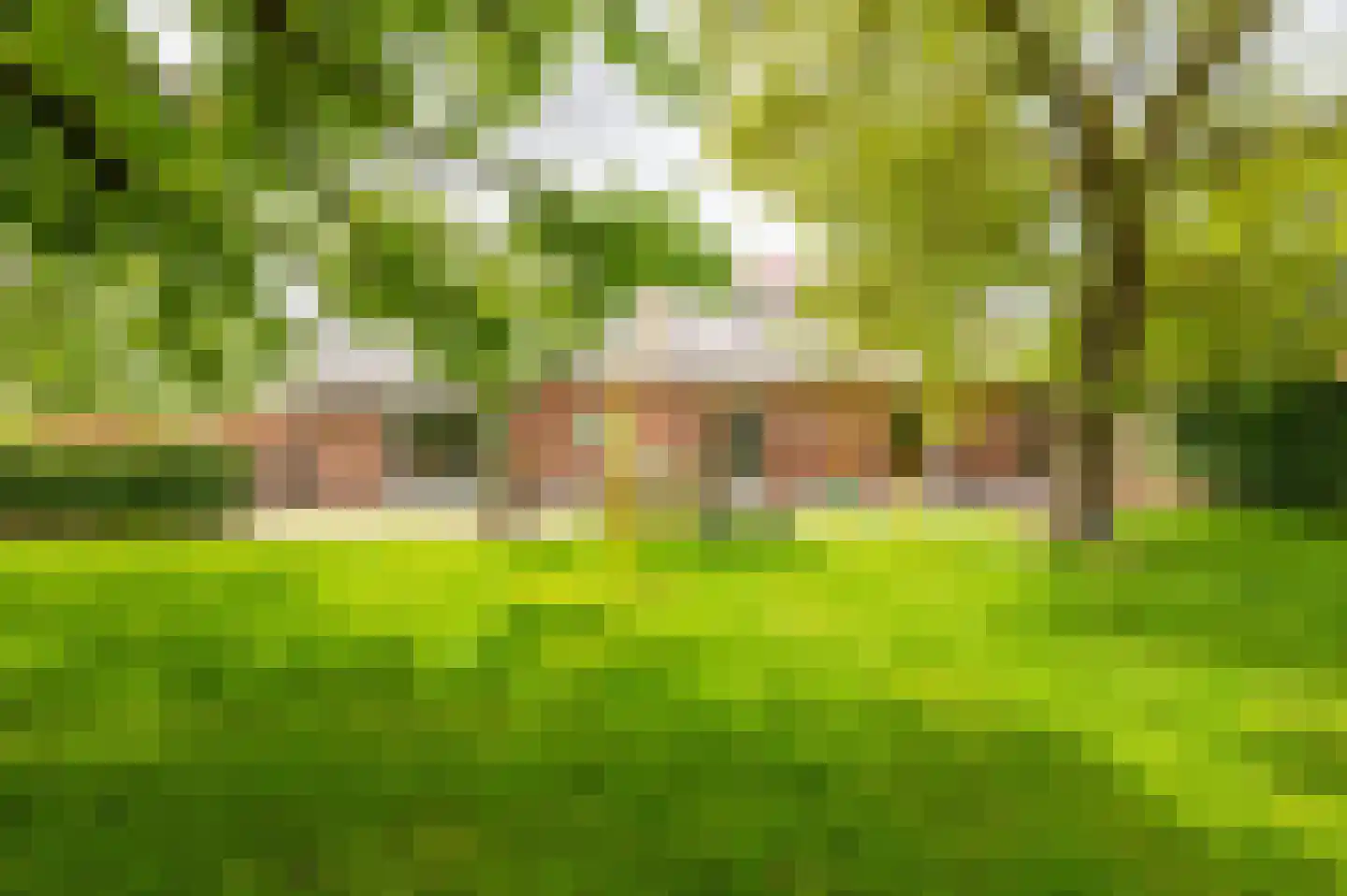 Zwagermanweg 2 Grijpskerke foto 3