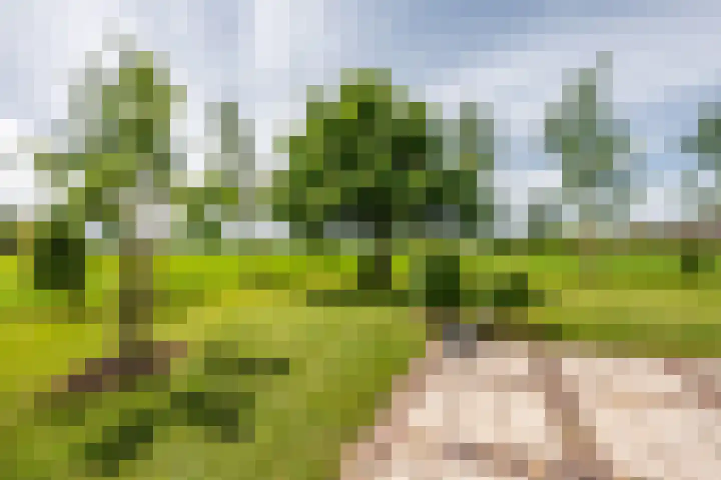 Zwagermanweg 2 Grijpskerke thumbnail 30