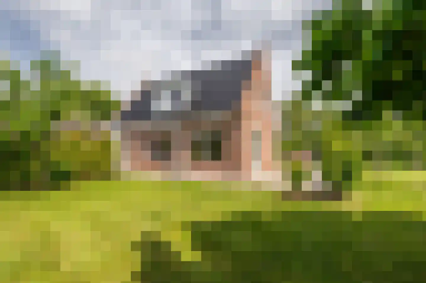 Zwagermanweg 2 Grijpskerke thumbnail 31