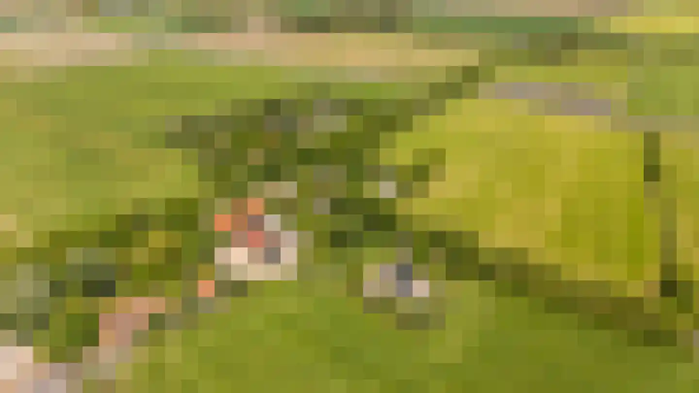 Zwagermanweg 2 Grijpskerke thumbnail 32