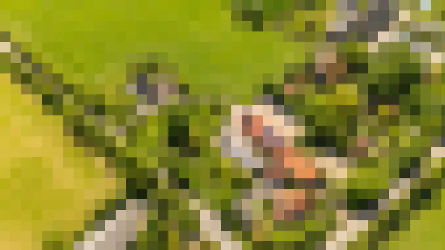 Zwagermanweg 2 Grijpskerke thumbnail 33