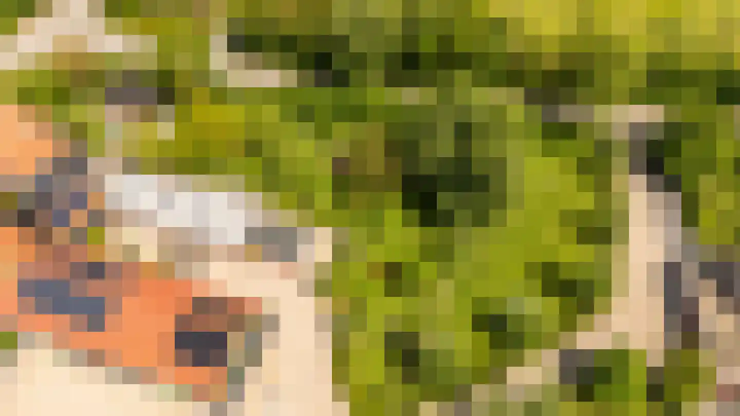 Zwagermanweg 2 Grijpskerke thumbnail 34