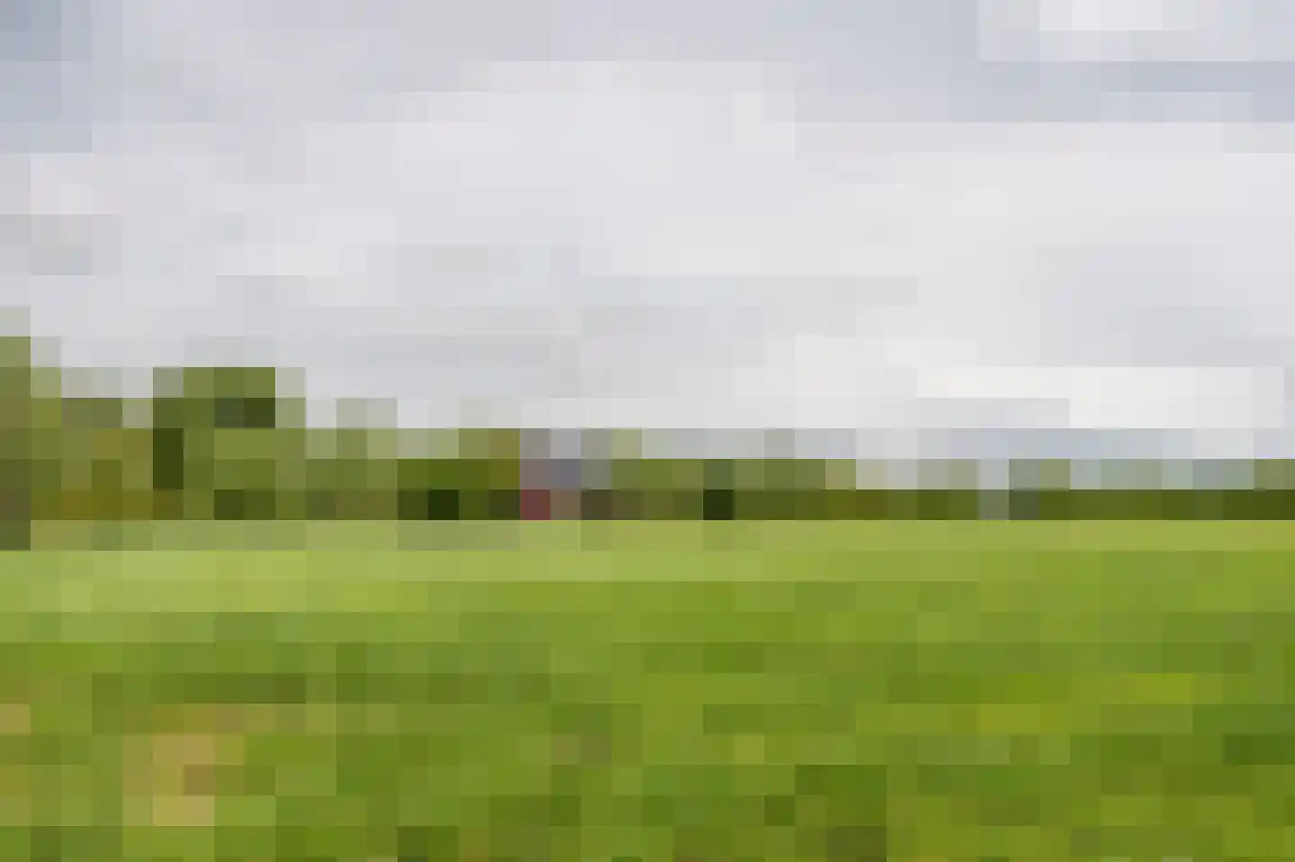 Zwagermanweg 2 Grijpskerke thumbnail 36