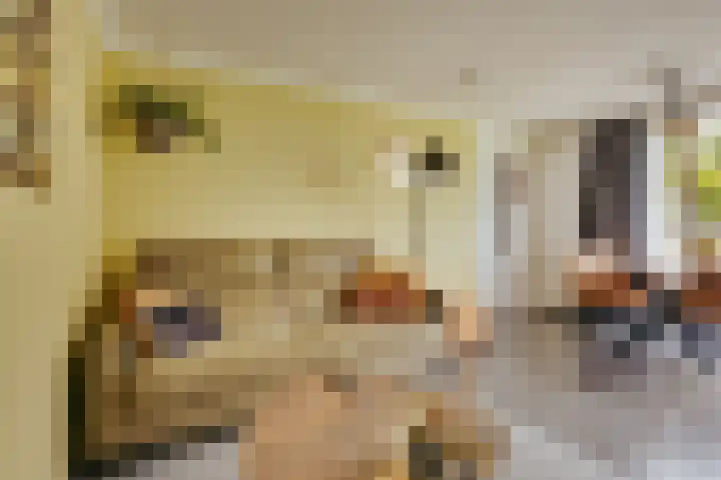Zwagermanweg 2 Grijpskerke thumbnail 38